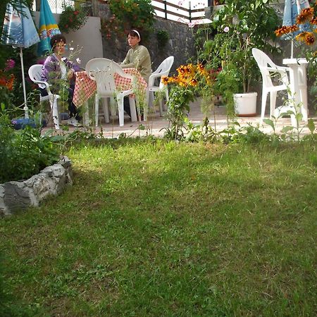 Vila Ana-Maria シナヤ エクステリア 写真