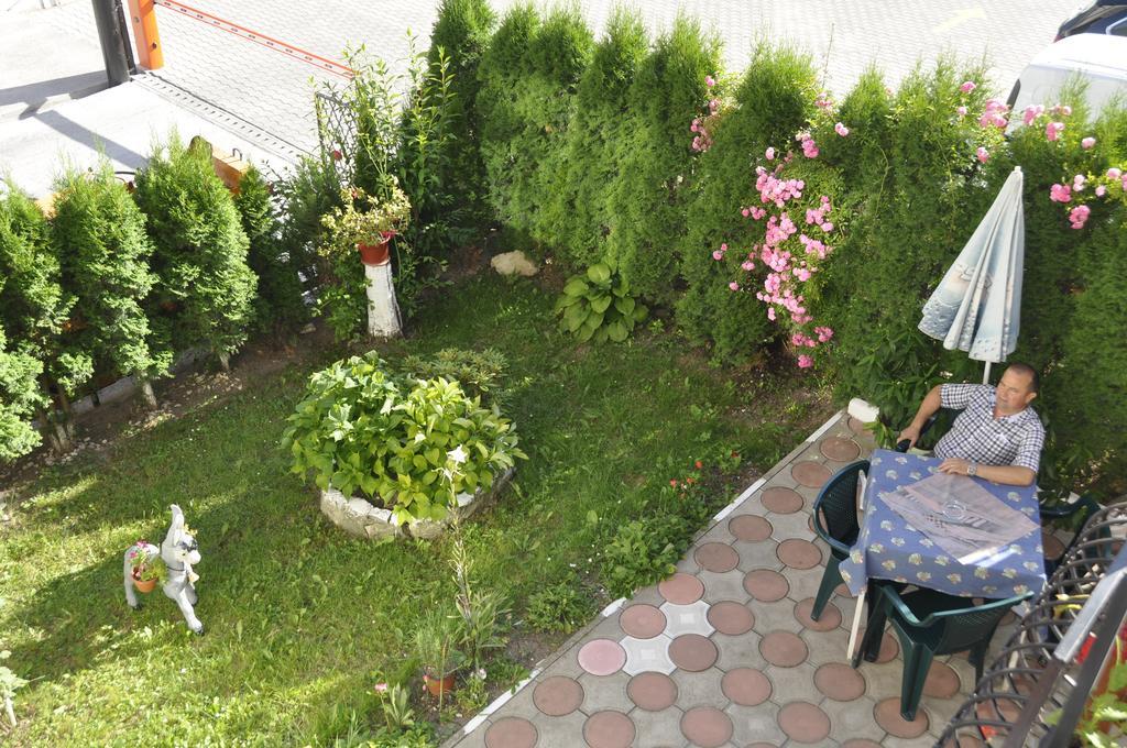 Vila Ana-Maria シナヤ エクステリア 写真